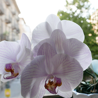 sessioni individuali